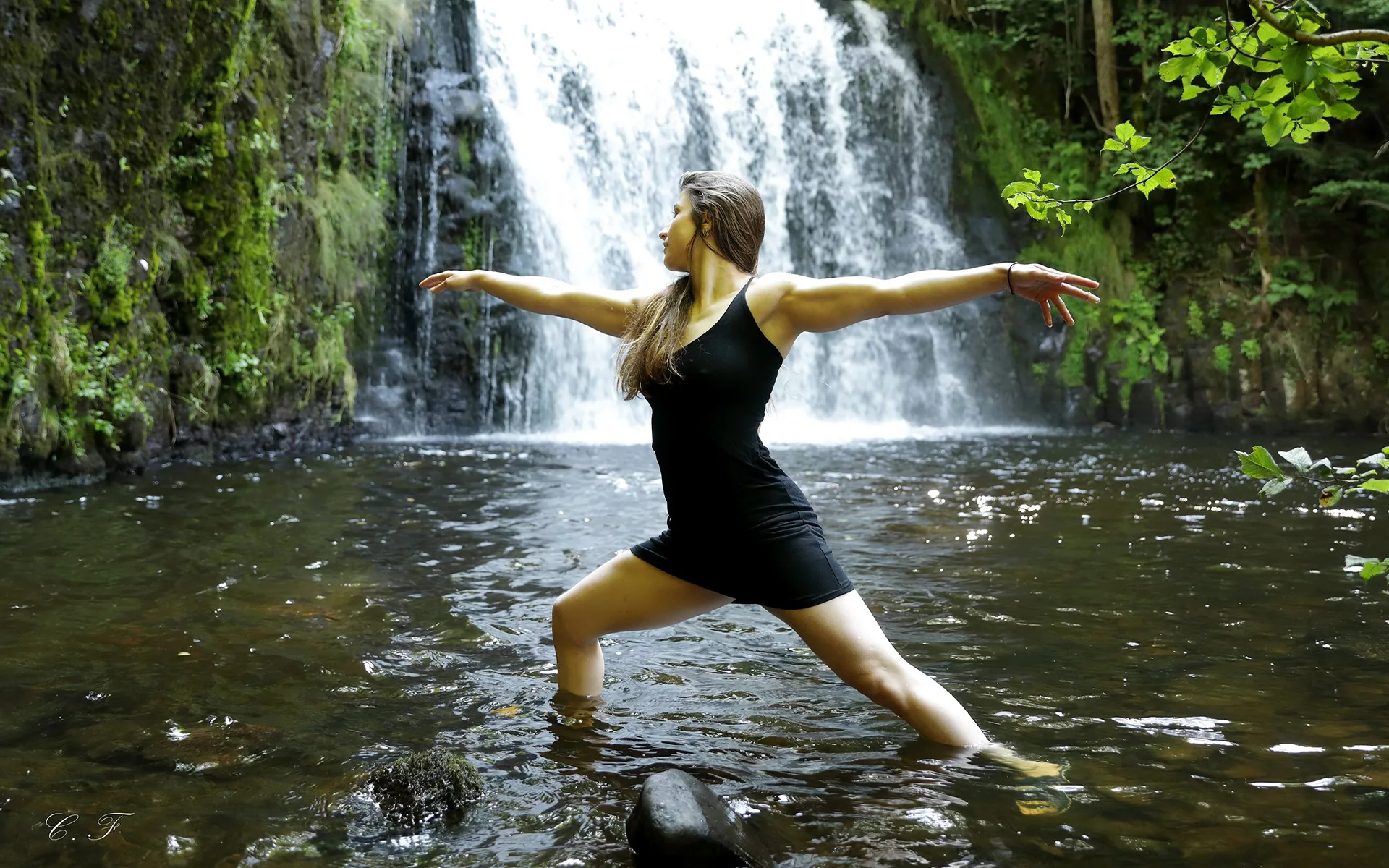 Cours de yoga Vinyasa au studio Malva Pole & Roll à Lezoux
