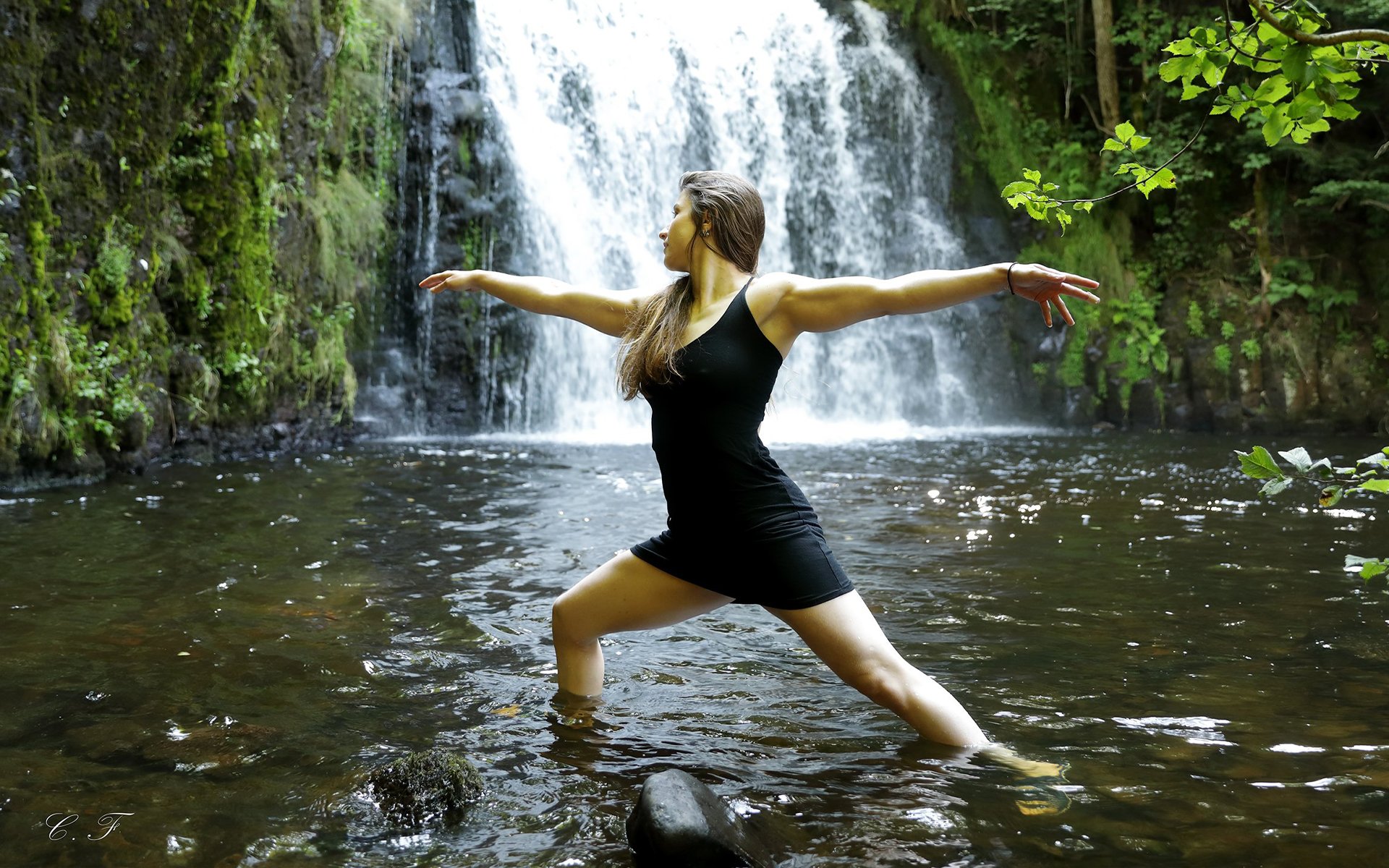 Cours de yoga Vinyasa au studio Malva Pole & Roll à Lezoux